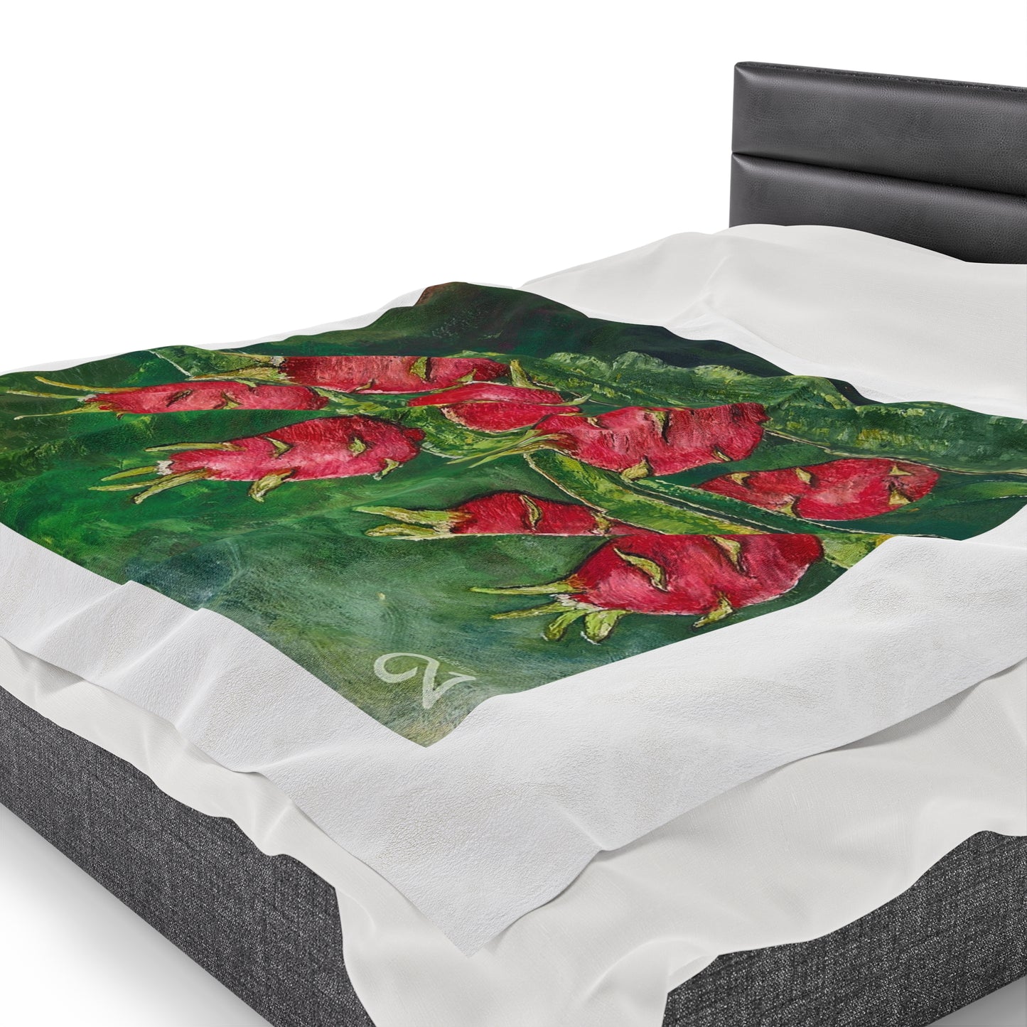 Velveteen Plush Blanket