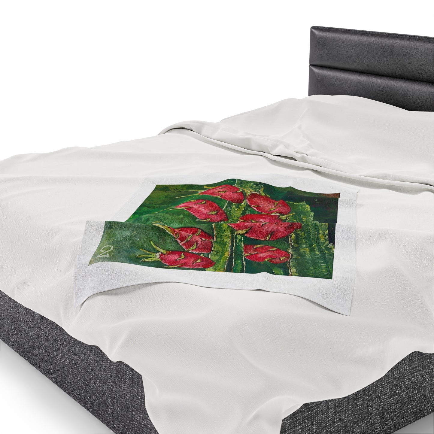 Velveteen Plush Blanket