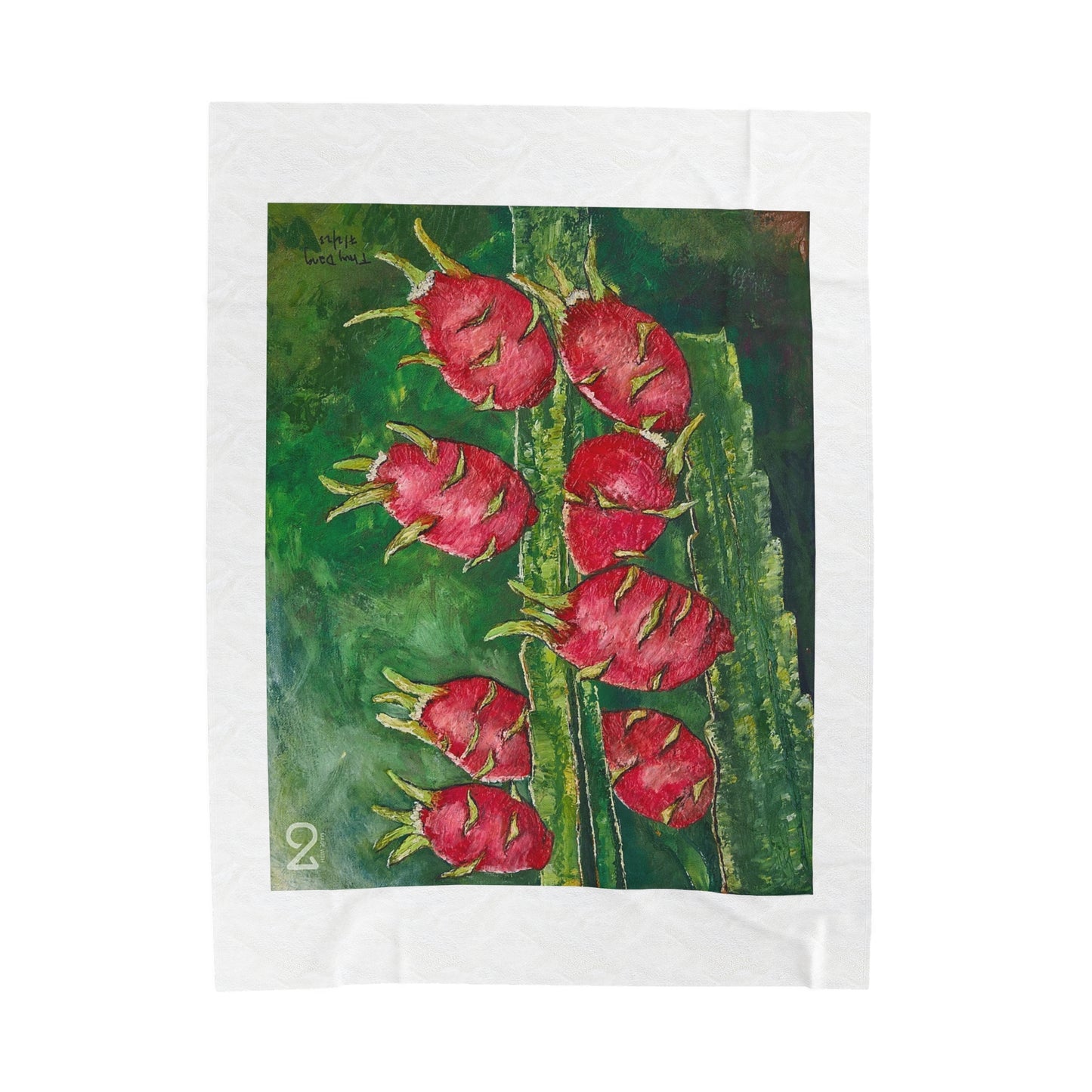 Velveteen Plush Blanket