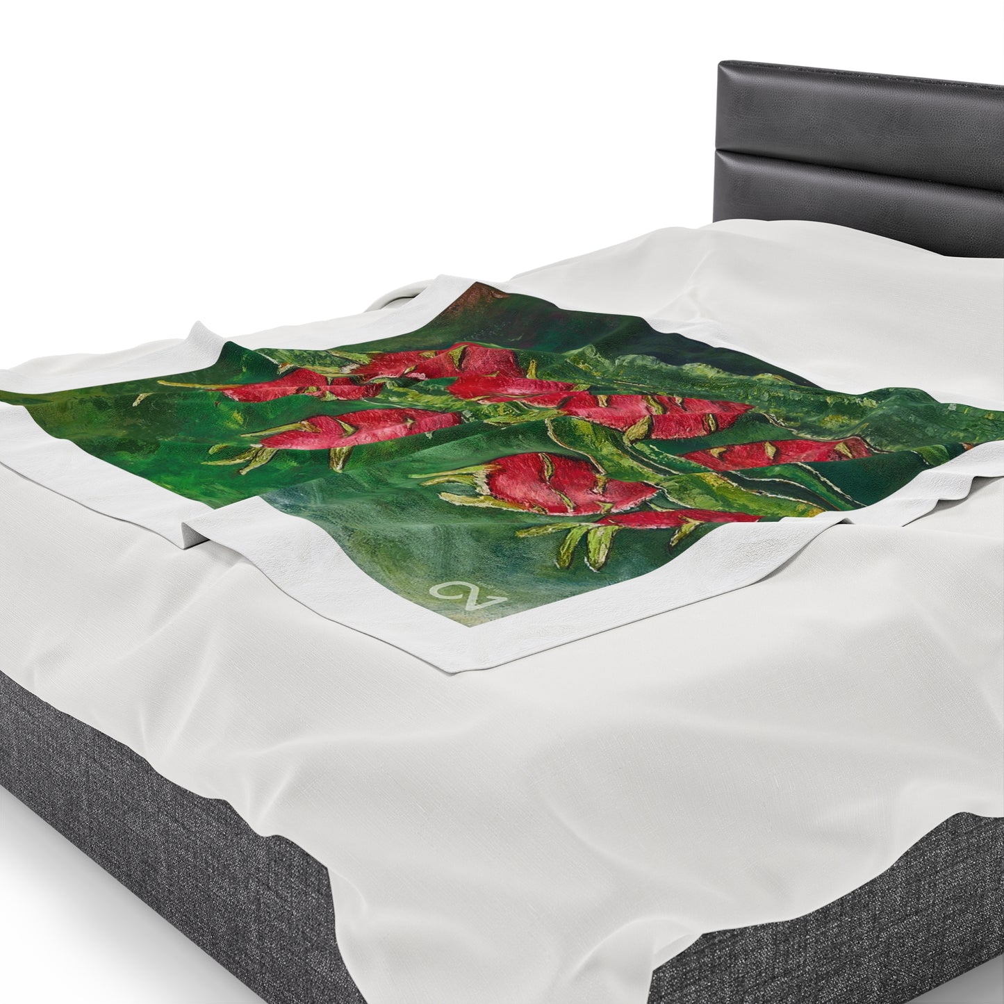 Velveteen Plush Blanket