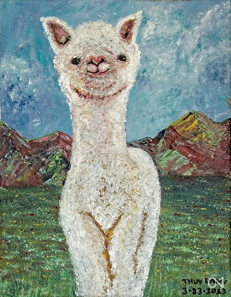 LIttle Llamas