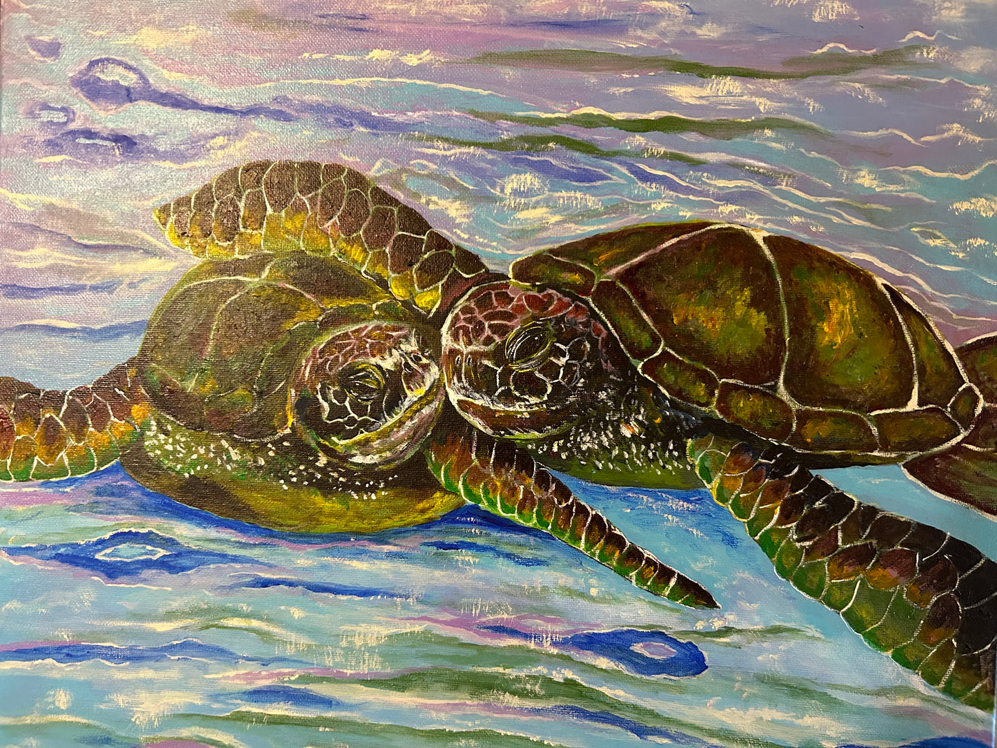 Serenity in Paradise - Turtles in their Hawaiian home